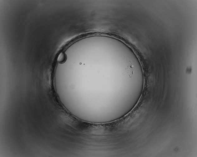 X0000103941214200809261718