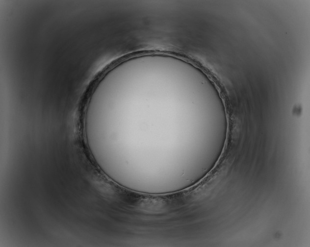 X0000103941215200809261718