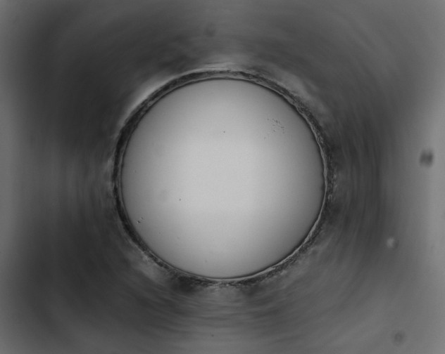 X0000103941216200809261718