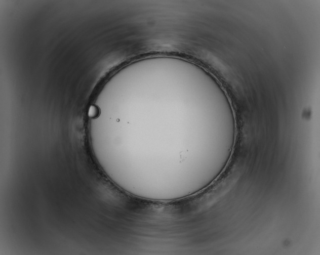 X0000103941218200809261718