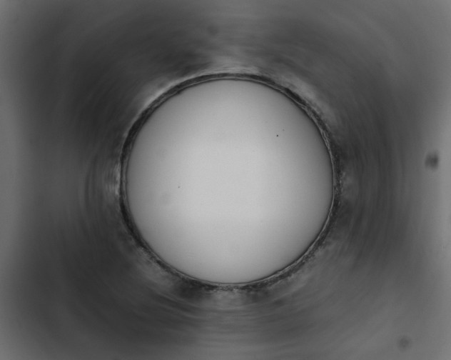 X0000103941220200809261718