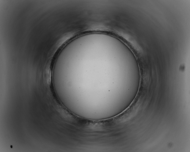 X0000103941221200809261718
