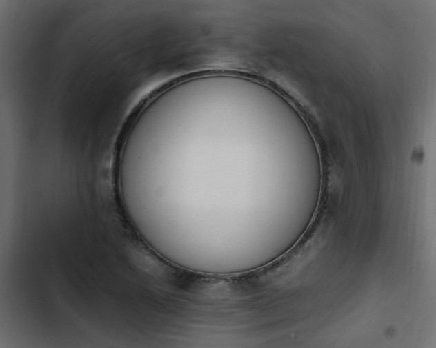 X0000103941222200809261718