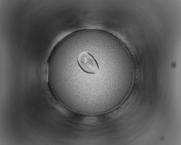 X0000103941223200809261718