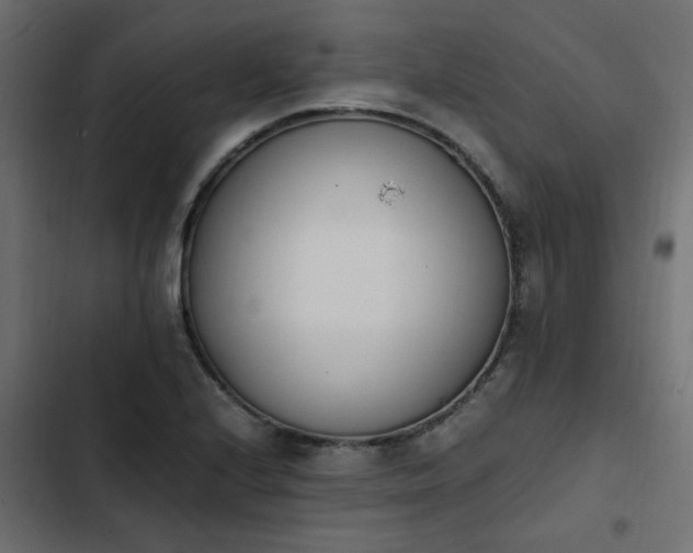 X0000103941224200809261718