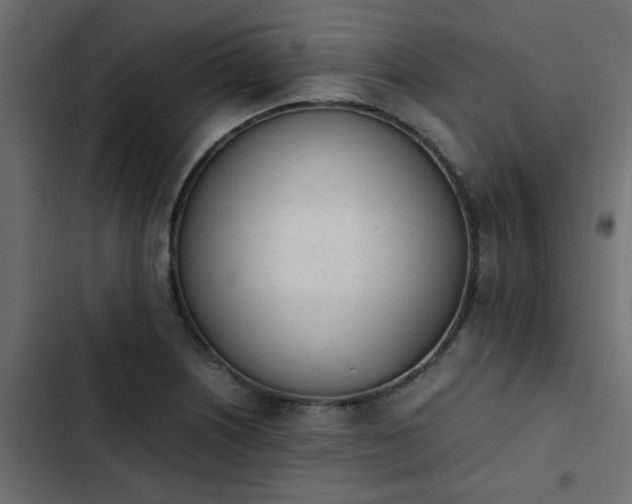 X0000103941226200809261718