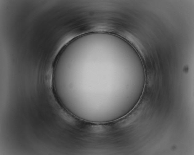 X0000103941227200809261718