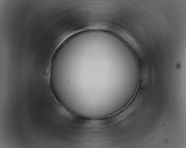 X0000103941228200809261718