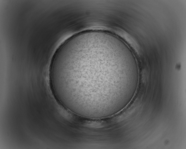X0000103941229200809261718