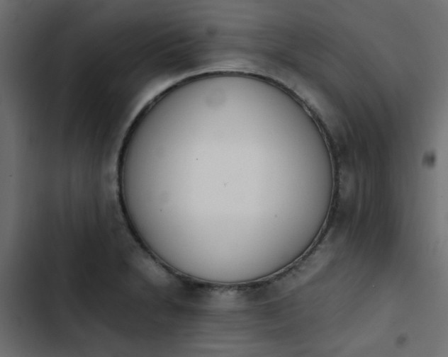 X0000103941230200809261718