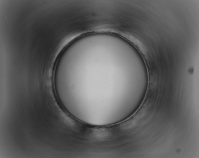 X0000103941231200809261718