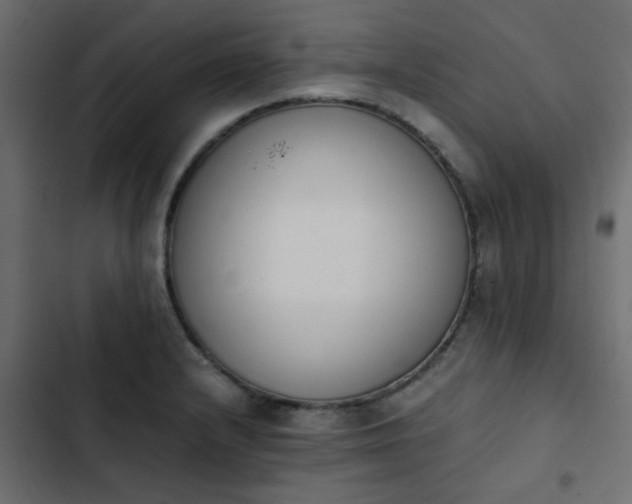 X0000103941232200809261718