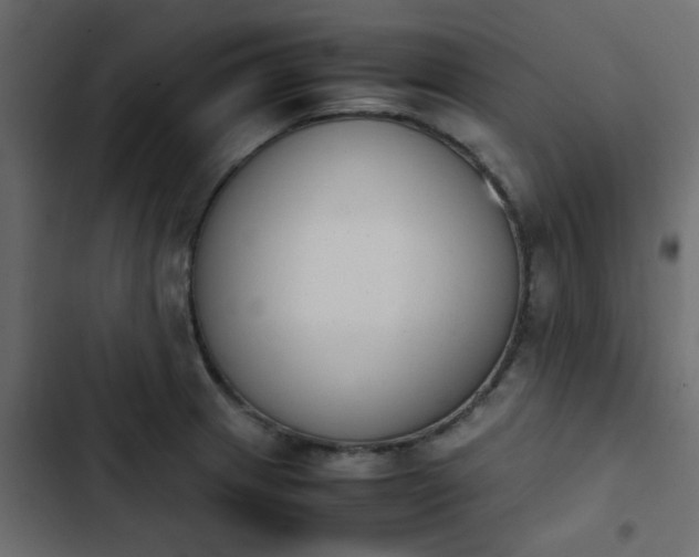 X0000103941233200809261718