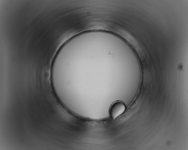 X0000103941234200809261718