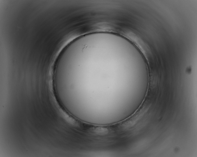 X0000103941235200809261718