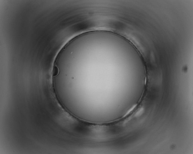 X0000103941236200809261718