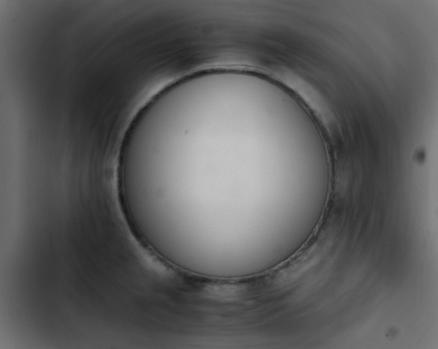 X0000103941237200809261718