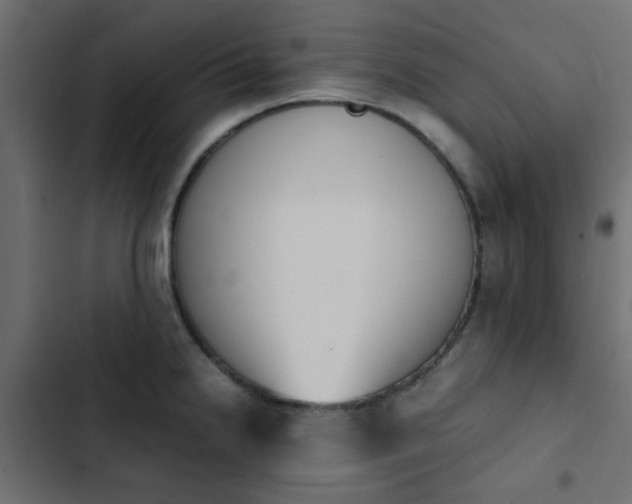 X0000103941238200809261718