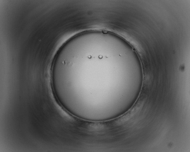 X0000103941239200809261718