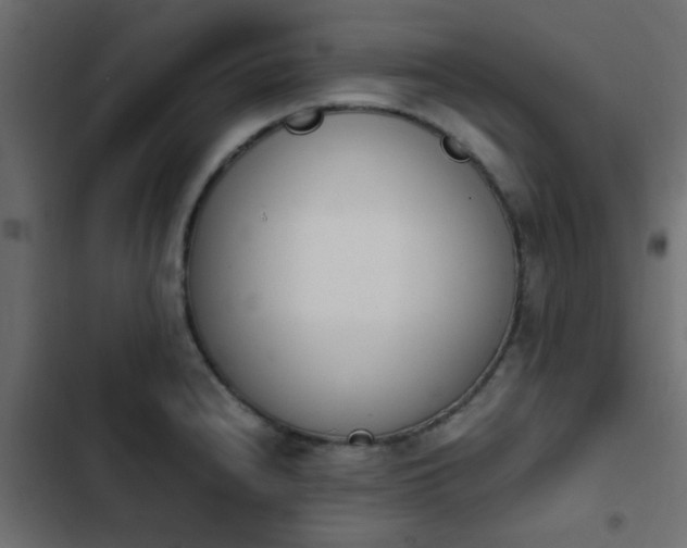 X0000103941240200809261718