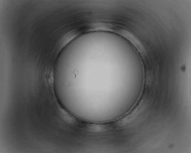 X0000103941241200809261718