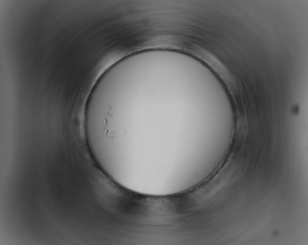 X0000103941242200809261718