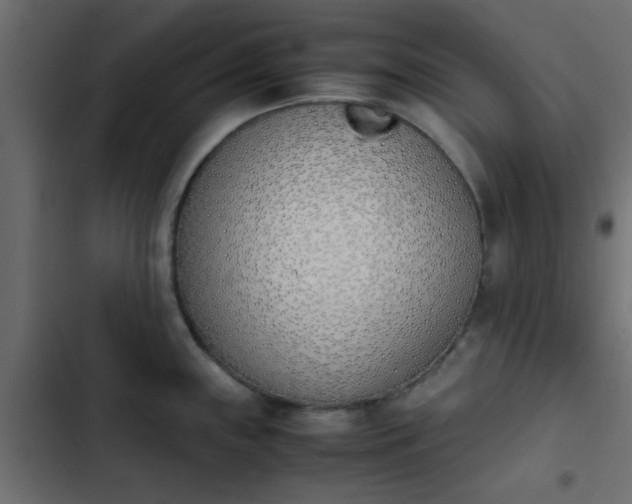 X0000103941243200809261718