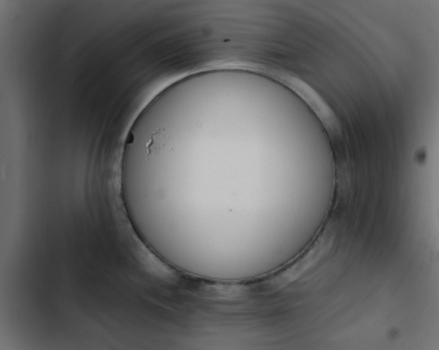 X0000103941244200809261718