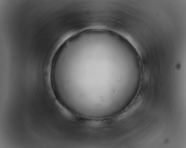 X0000103941245200809261719