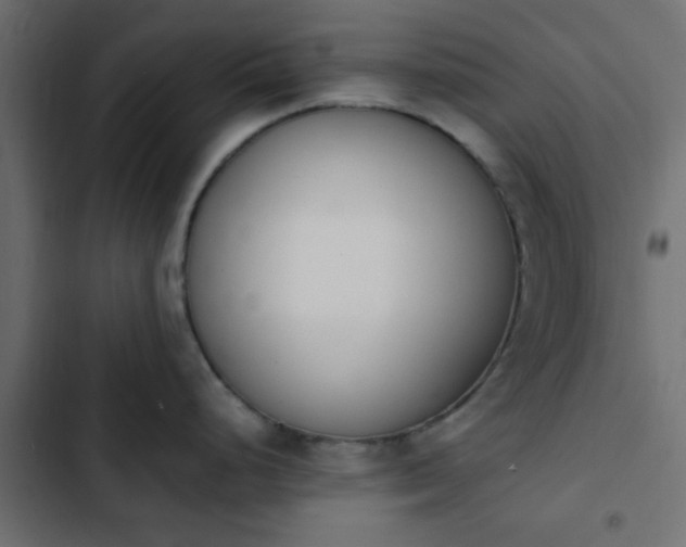 X0000103941248200809261719