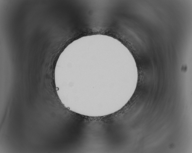 X0000103941249200809261718