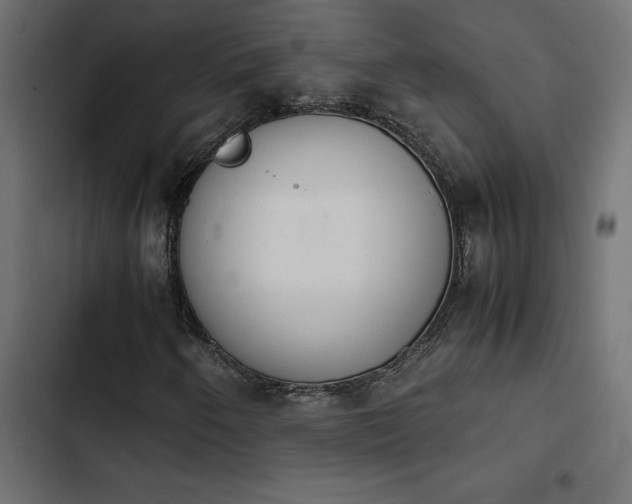 X0000103941250200809261718