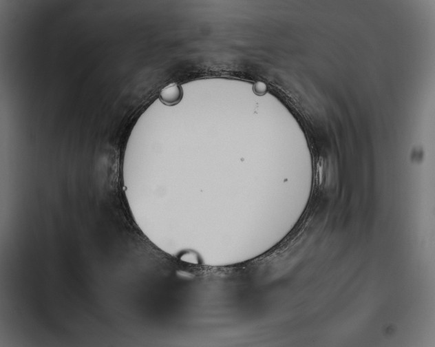 X0000103941251200809261718