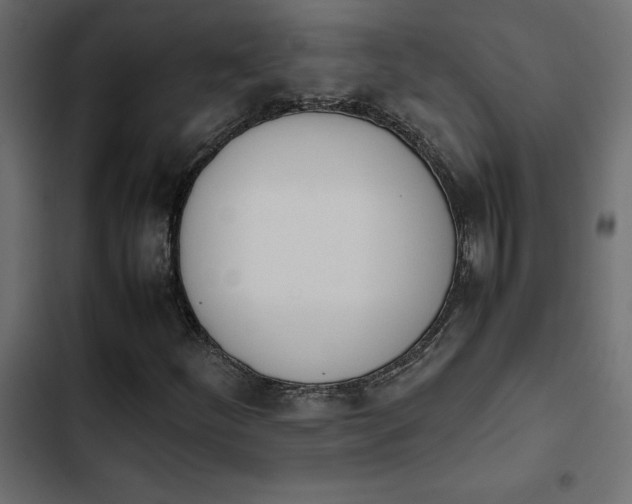 X0000103941252200809261718