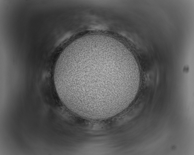 X0000103941254200809261718