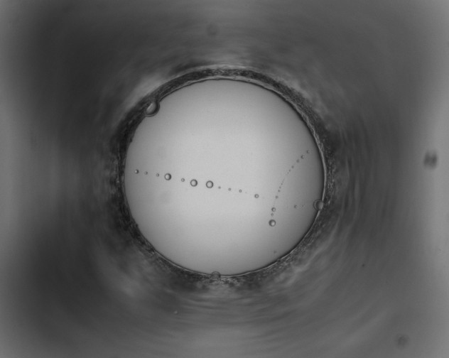 X0000103941255200809261718
