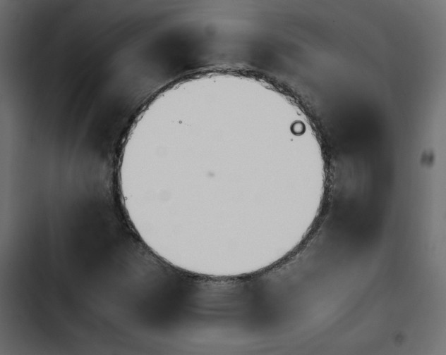 X0000103941257200809261718