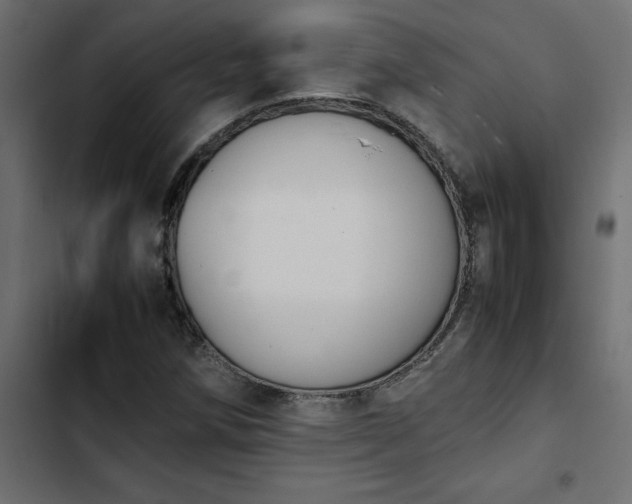 X0000103941258200809261718