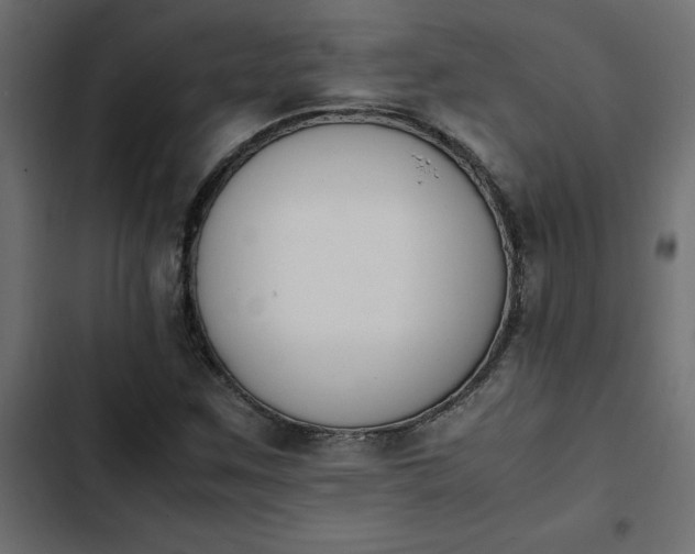 X0000103941259200809261718