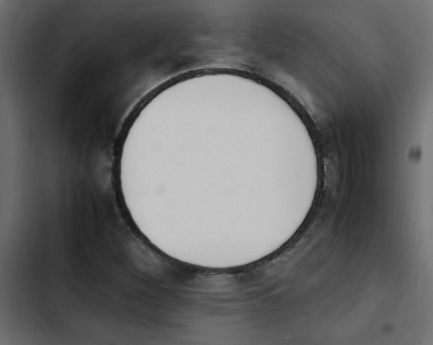 X0000103941260200809261718