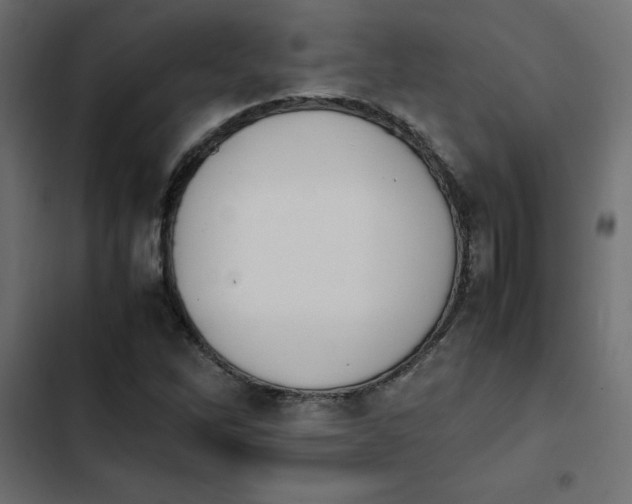 X0000103941262200809261718