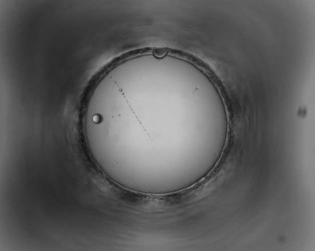 X0000103941263200809261718