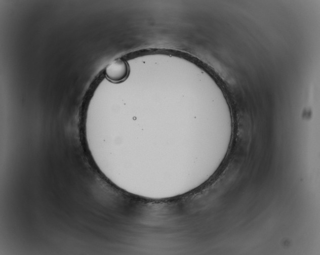 X0000103941264200809261718
