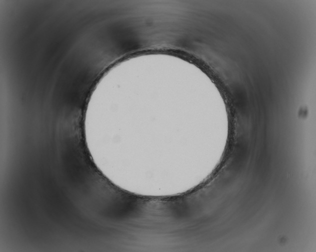 X0000103941265200809261718