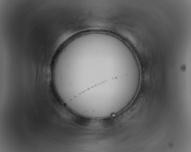 X0000103941267200809261718
