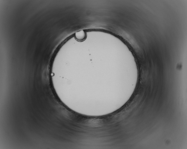 X0000103941268200809261718