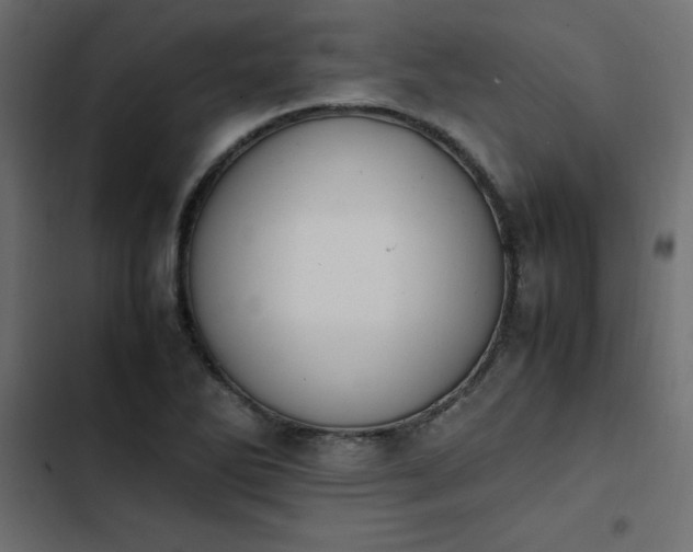 X0000103941270200809261718