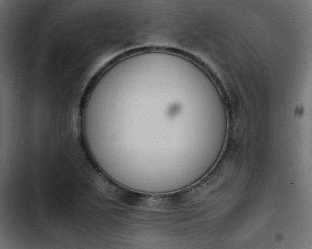 X0000103941271200809261718