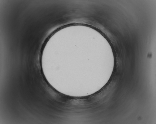 X0000103941272200809261718