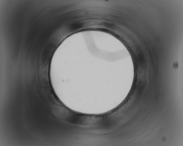 X0000103941273200809261718